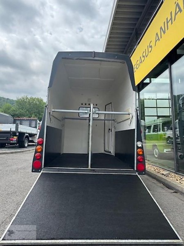 PKW-Anhänger typu Thiel Explorer 2-Pferdeanhänger Vollpoly Aluboden 2,4t, Gebrauchtmaschine v Gevelsberg (Obrázek 4)