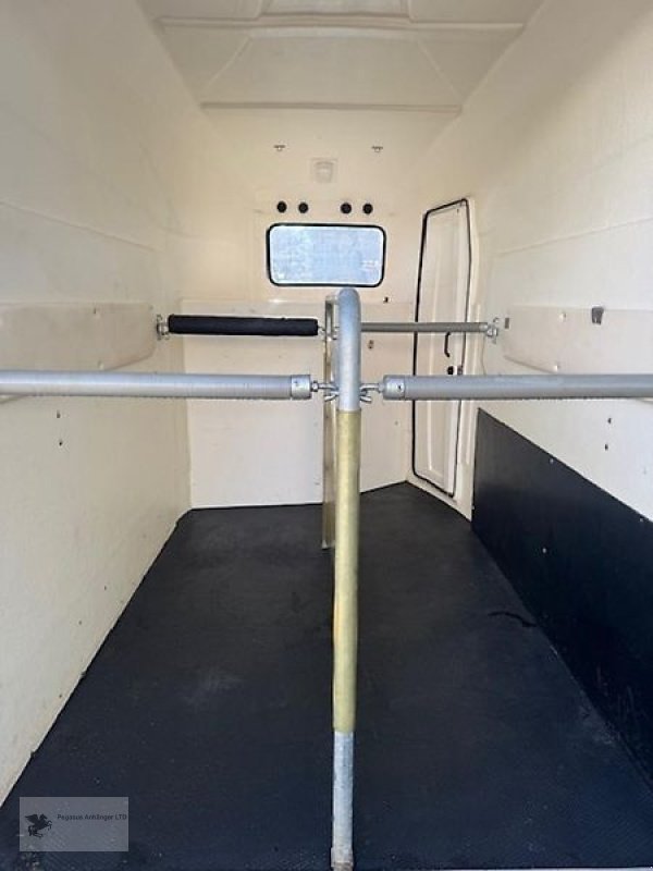 PKW-Anhänger типа Thiel Explorer/ Lexos 2-Pferdeanhänger Vollpoly Aluboden 2,4t, Gebrauchtmaschine в Gevelsberg (Фотография 4)