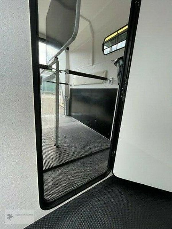 PKW-Anhänger des Typs Thiel Matrix Zweipferdeanhänger -Vollpolyanhänger begehbare SK, Gebrauchtmaschine in Gevelsberg (Bild 9)