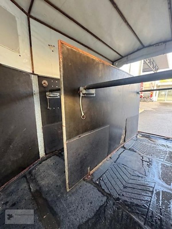 PKW-Anhänger типа Westfalia 2-Pferdeanhänger Holz/Plane Sattelka. 2to.Viehanhänger, Gebrauchtmaschine в Gevelsberg (Фотография 4)