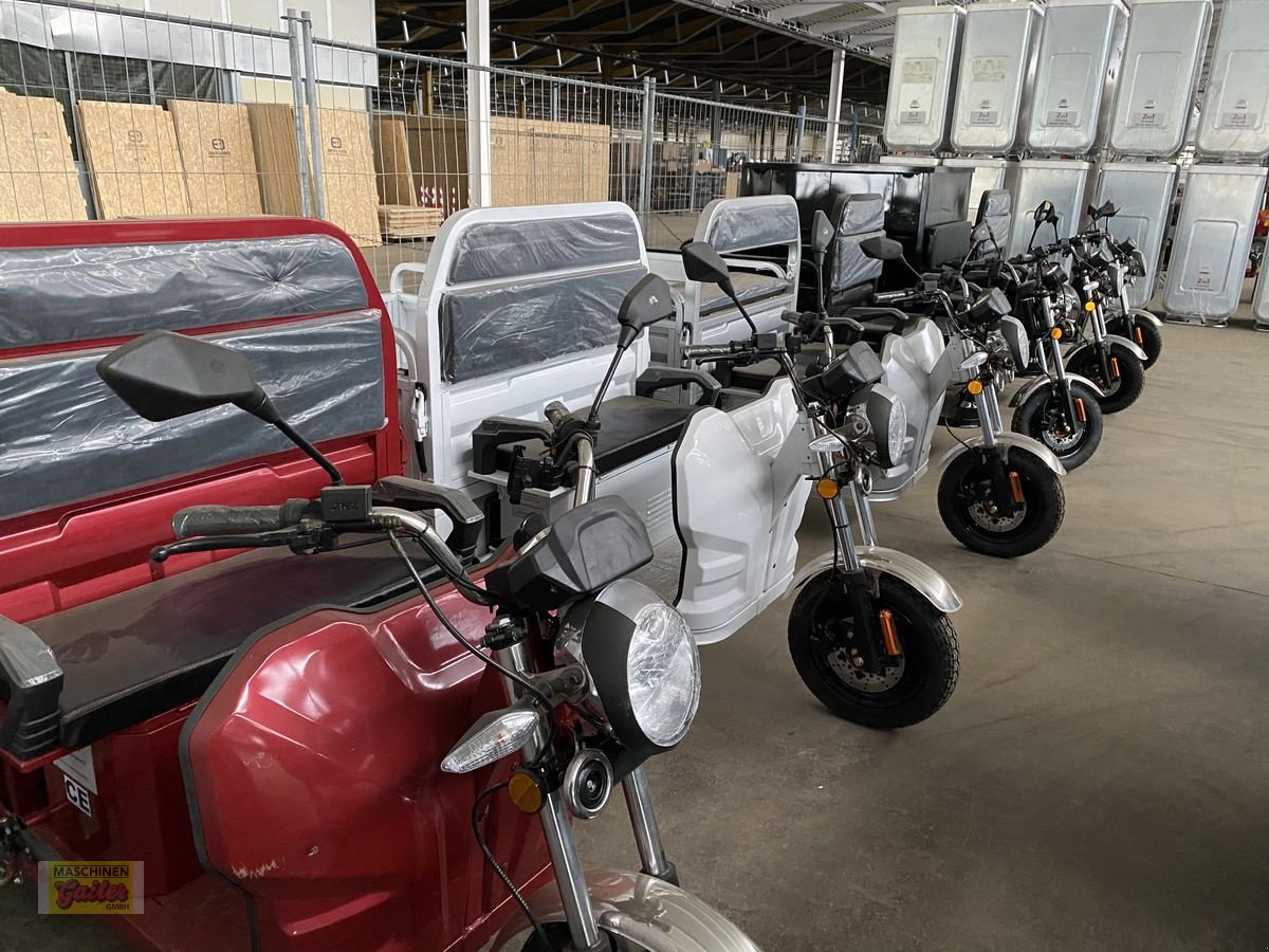 PKW/LKW tipa Sonstige Gailer`s E-Lastendreirad TUK-TUK, Neumaschine u Kötschach (Slika 4)