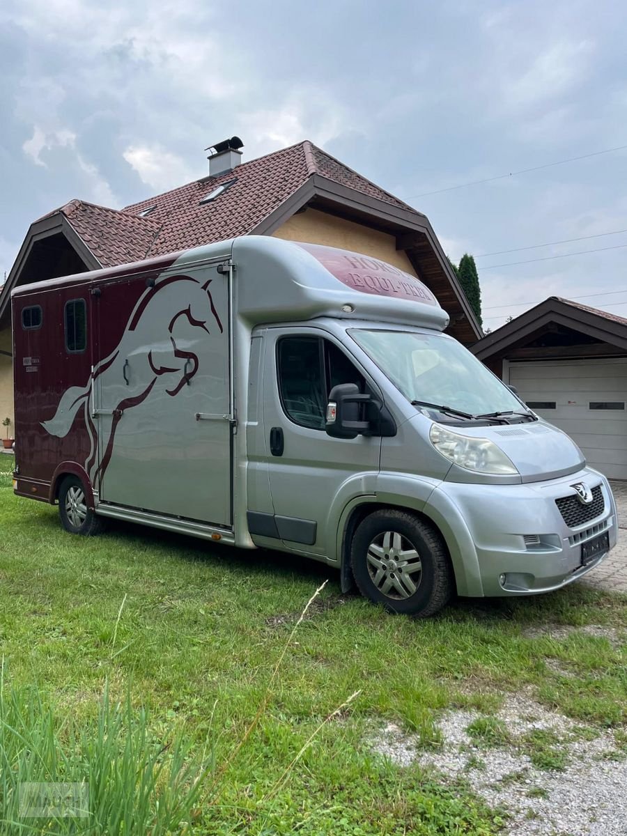 PKW/LKW des Typs Sonstige Peugeot Pferdetransporter, Gebrauchtmaschine in Burgkirchen (Bild 12)