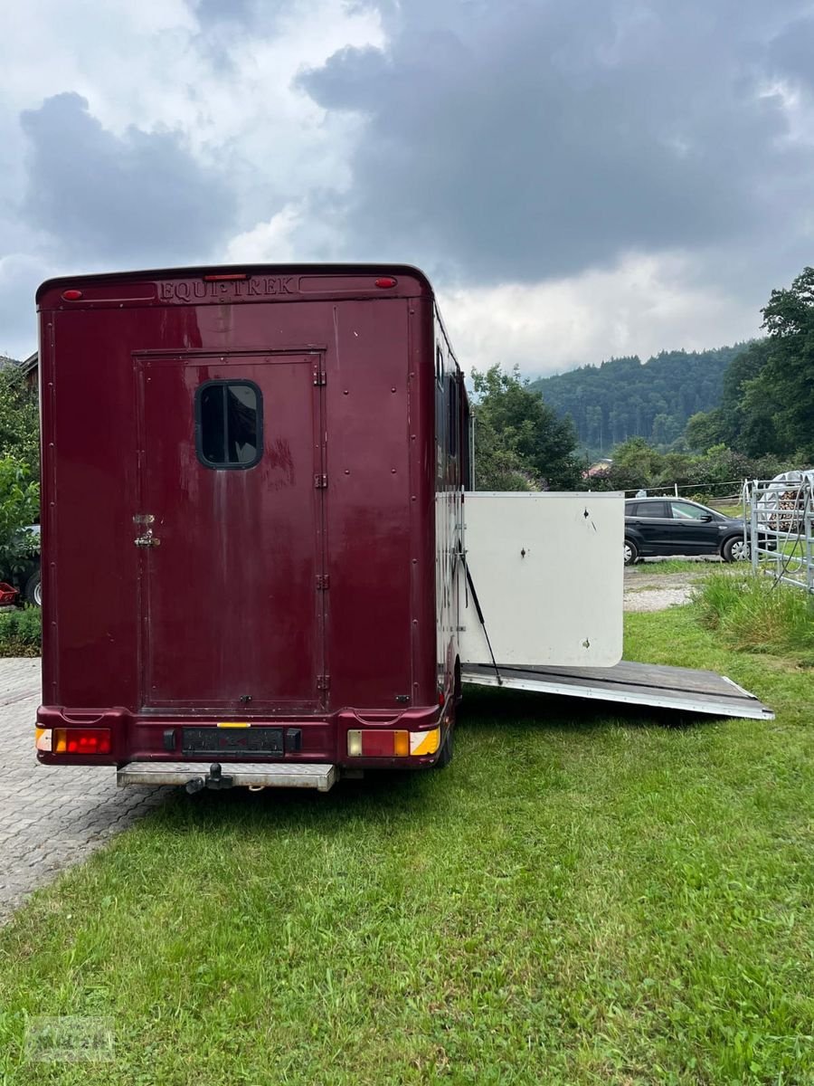 PKW/LKW des Typs Sonstige Peugeot Pferdetransporter, Gebrauchtmaschine in Burgkirchen (Bild 3)