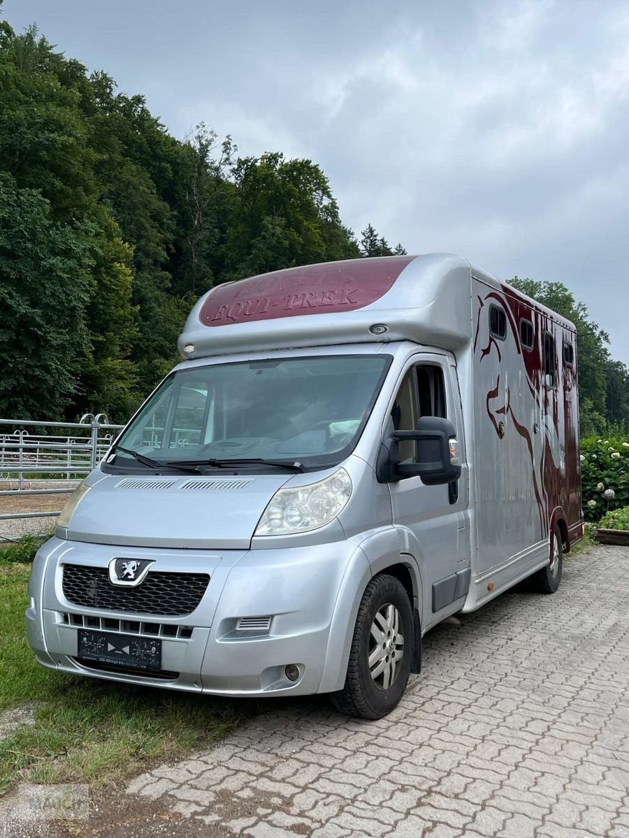 PKW/LKW des Typs Sonstige Peugeot Pferdetransporter, Gebrauchtmaschine in Burgkirchen (Bild 11)