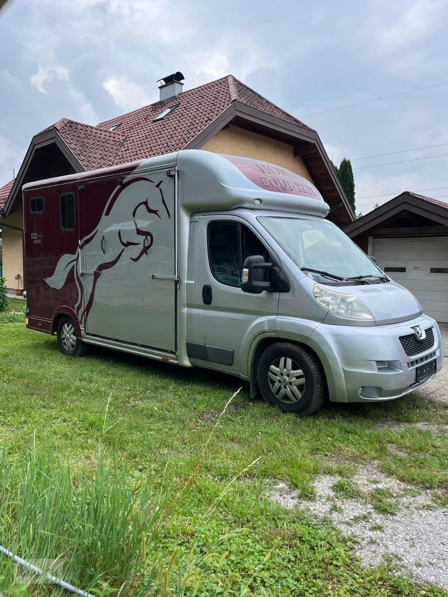 PKW/LKW des Typs Sonstige Peugeot Pferdetransporter, Gebrauchtmaschine in Burgkirchen (Bild 10)