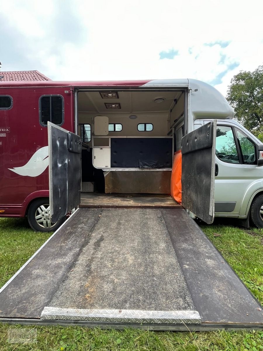 PKW/LKW des Typs Sonstige Peugeot Pferdetransporter, Gebrauchtmaschine in Burgkirchen (Bild 4)