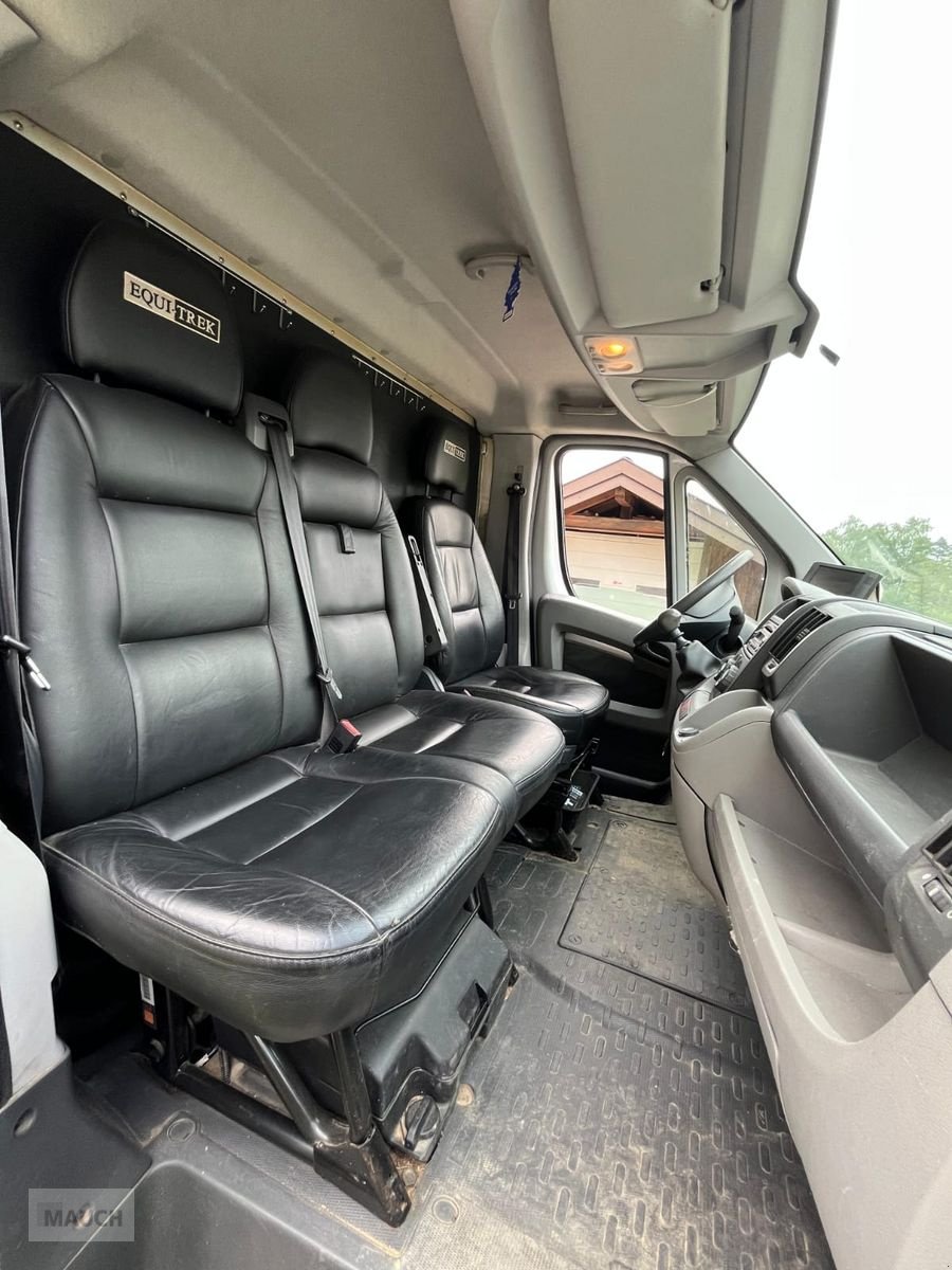 PKW/LKW des Typs Sonstige Peugeot Pferdetransporter, Gebrauchtmaschine in Burgkirchen (Bild 8)