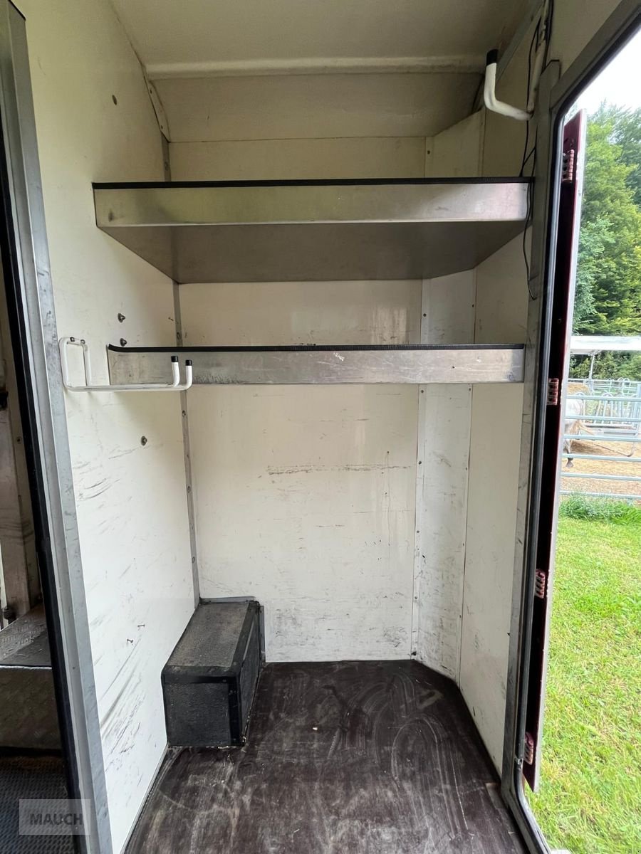 PKW/LKW des Typs Sonstige Peugeot Pferdetransporter, Gebrauchtmaschine in Burgkirchen (Bild 9)