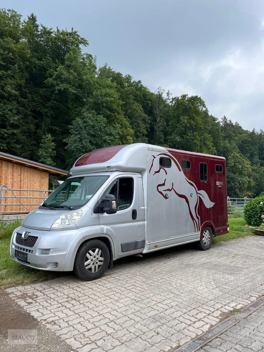 PKW/LKW des Typs Sonstige Peugeot Pferdetransporter, Gebrauchtmaschine in Burgkirchen (Bild 1)
