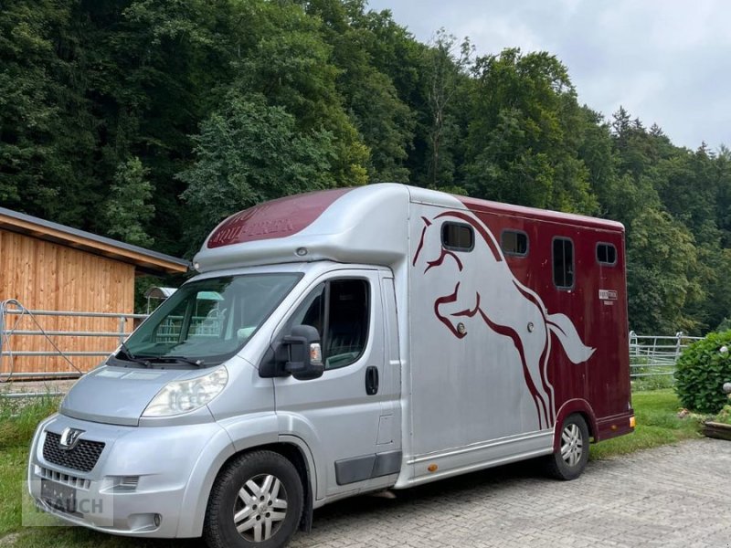PKW/LKW des Typs Sonstige Peugeot Pferdetransporter, Gebrauchtmaschine in Burgkirchen (Bild 1)