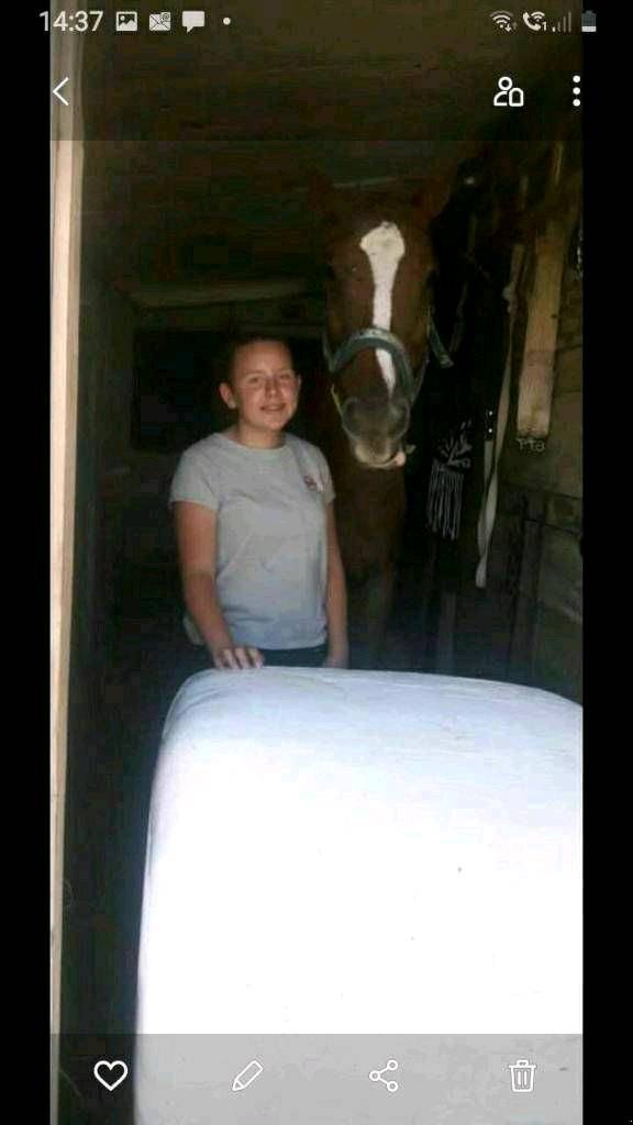 Press-/Wickelkombination of the type Criap Midi Baler 85, Gebrauchtmaschine in Baumgarten (Picture 10)