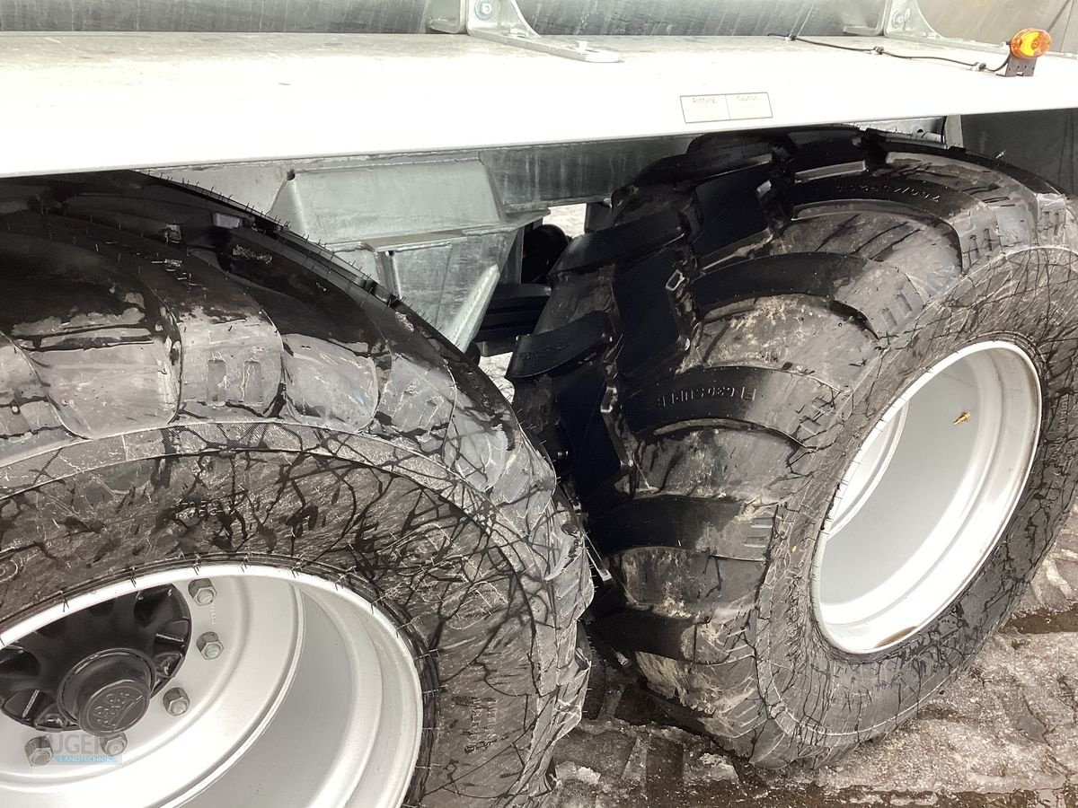 Pumpfass des Typs Fliegl VFW 12000 MaxxLine Tandem, Neumaschine in Niederkappel (Bild 4)