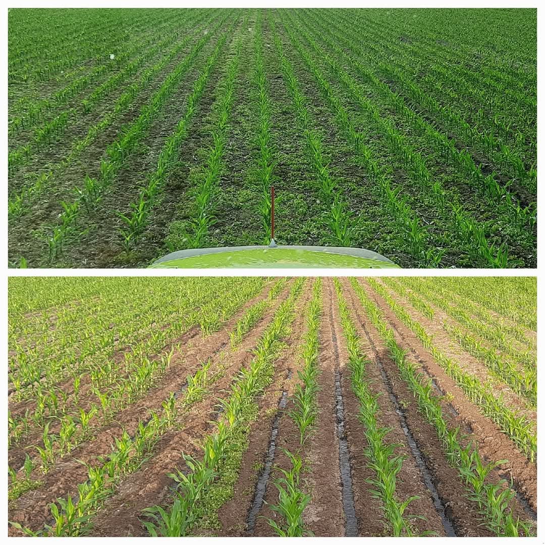 Pumpfass del tipo KUMM Technik KTR 18,5, Gebrauchtmaschine In Czerniejewo (Immagine 16)