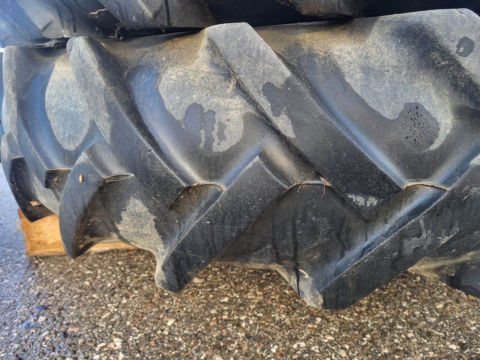 Rad des Typs Barum Barum Pflegereifen mit Felgen 16.6-36, Gebrauchtmaschine in NATTERNBACH (Bild 8)