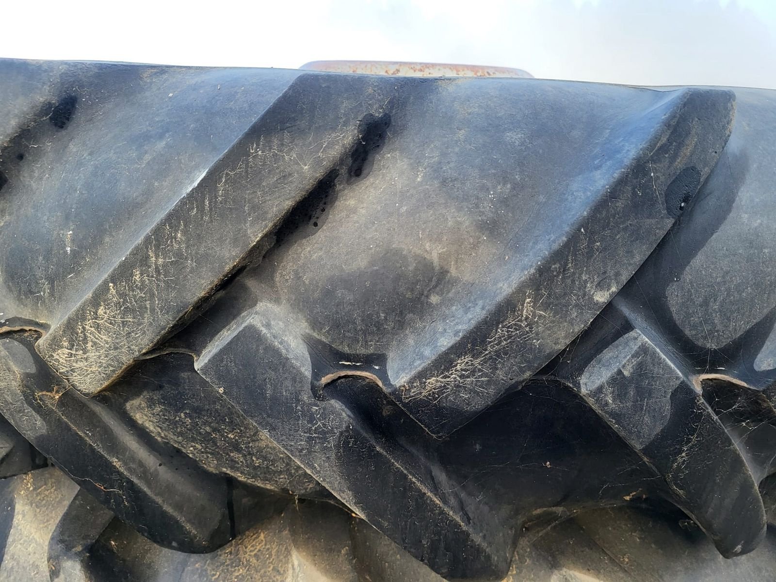 Rad des Typs Barum Barum Pflegereifen mit Felgen 16.6-36, Gebrauchtmaschine in NATTERNBACH (Bild 5)