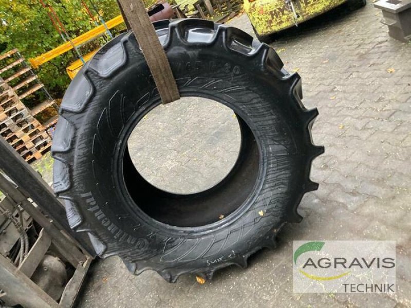 Rad des Typs Continental REIFEN REIFEN:0000319489, Gebrauchtmaschine in Rheinbach (Bild 1)