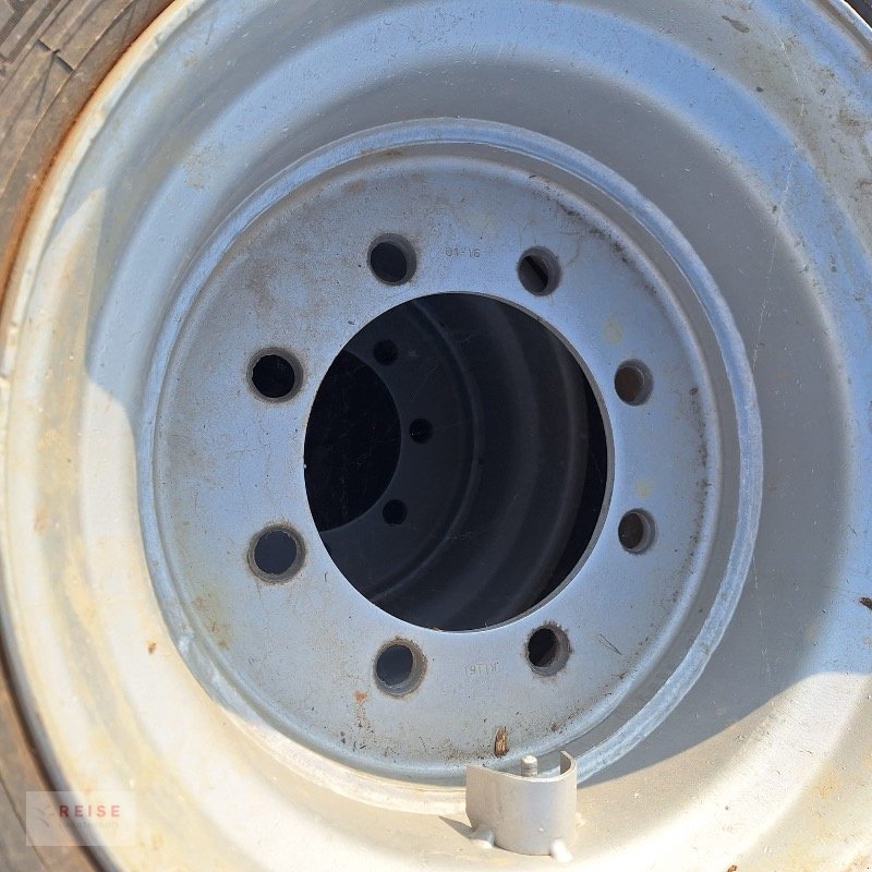 Rad typu Michelin 445/70R19.5 XF Mobilbagger, Neumaschine v Lippetal / Herzfeld (Obrázek 3)