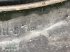 Rad del tipo Mitas 680/80R42, Gebrauchtmaschine In Spelle (Immagine 7)