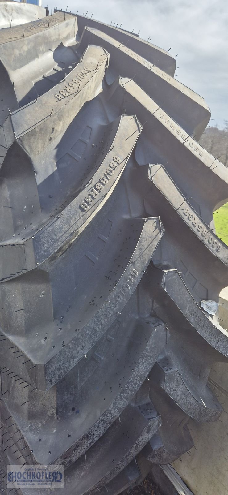 Rad typu Petlas 650/85 R38, Gebrauchtmaschine v Wies (Obrázek 2)
