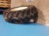 Rad des Typs Sonstige 18"   12.5/80-18, Gebrauchtmaschine in Hemmet (Bild 3)
