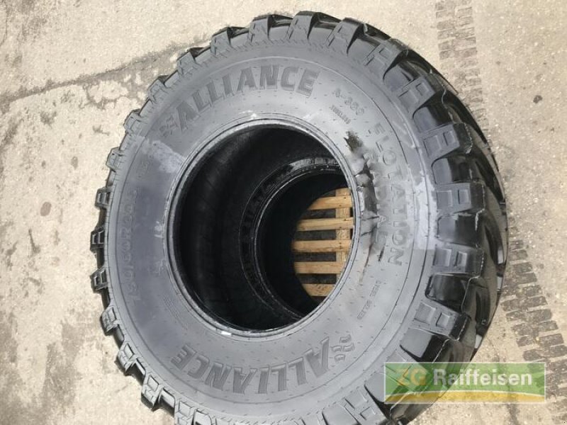 Rad типа Sonstige 750/60R30.5 Profil 38, Gebrauchtmaschine в Bühl (Фотография 2)