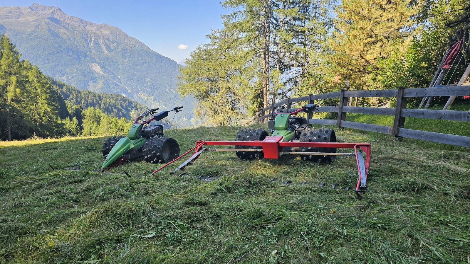 Rad от тип Sonstige Flexispike, Neumaschine в Ried im Oberinntal (Снимка 3)