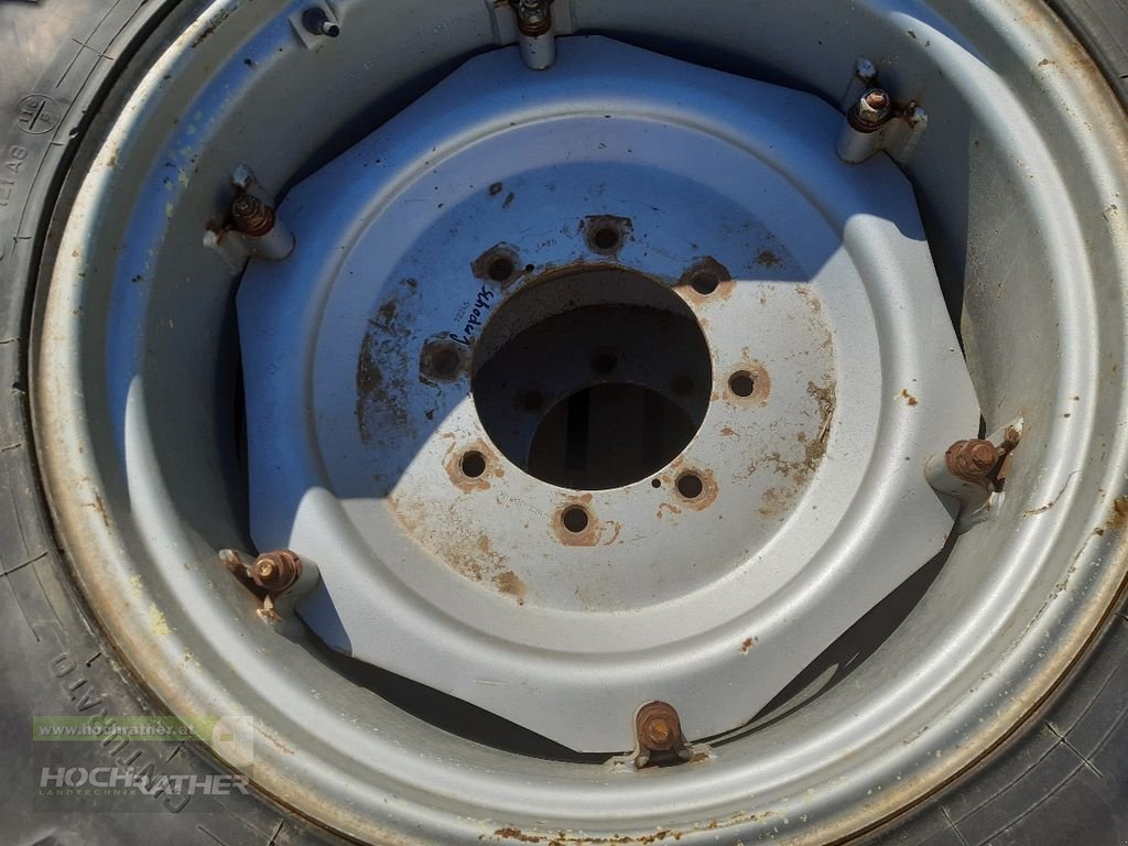 Rad des Typs Taurus Pflegeräder für Steyr, Gebrauchtmaschine in Kronstorf (Bild 8)