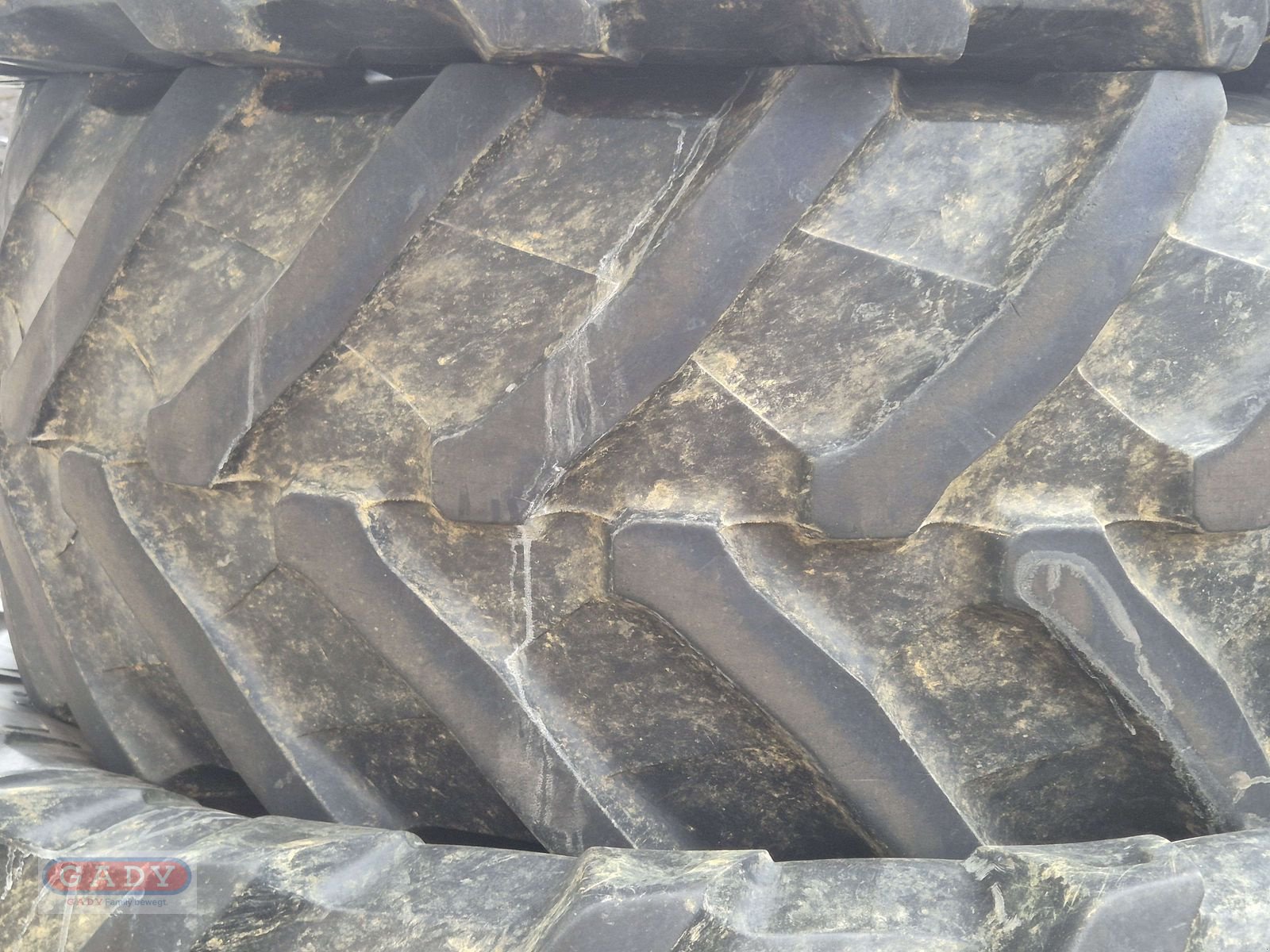 Rad del tipo Trelleborg TM 800, Gebrauchtmaschine en Lebring (Imagen 6)