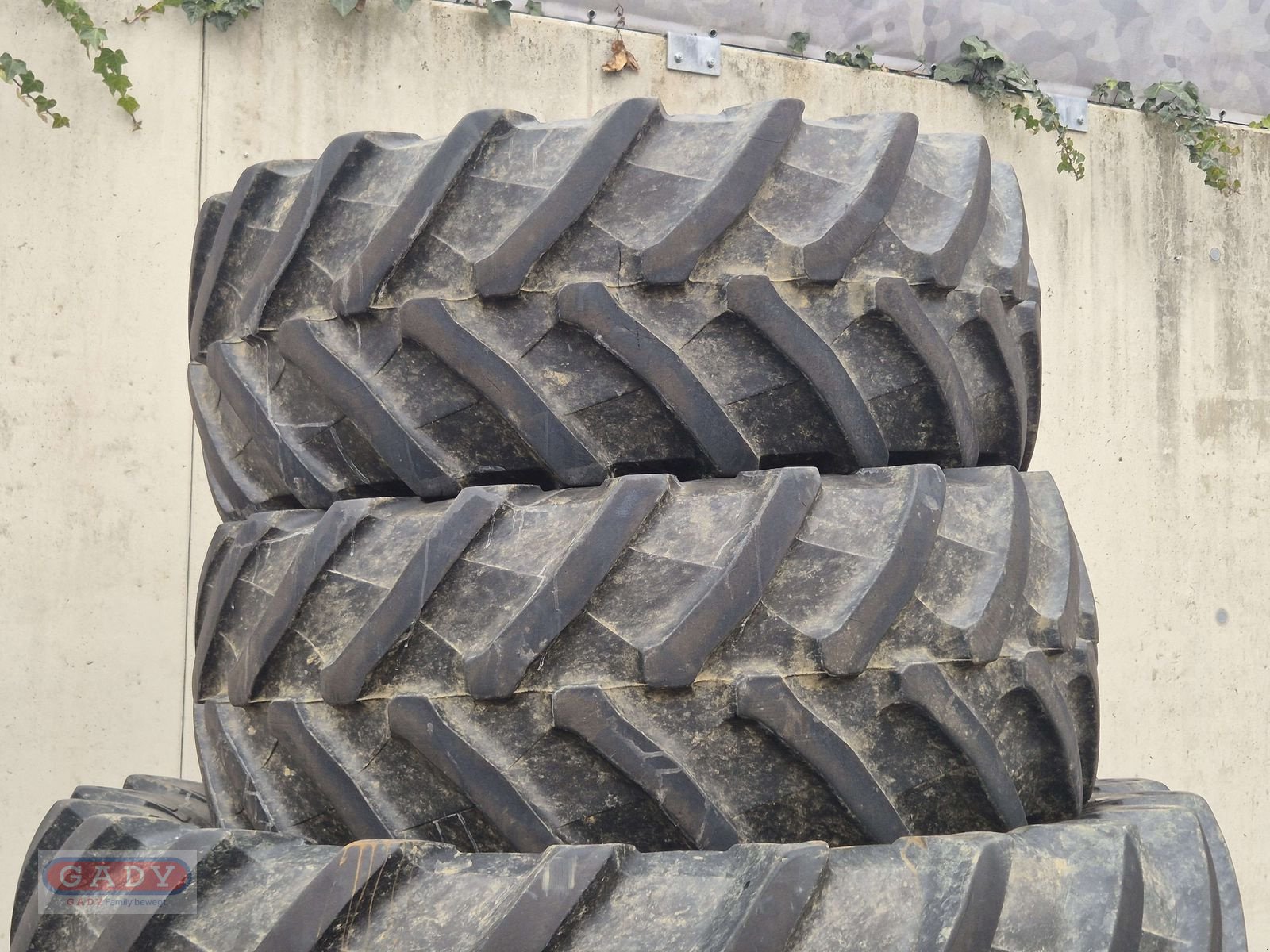 Rad del tipo Trelleborg TM 800, Gebrauchtmaschine en Lebring (Imagen 3)