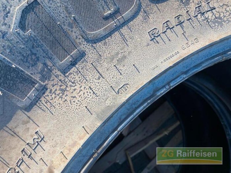 Rad typu Trelleborg VF 710/60R42, Gebrauchtmaschine v Appenweier (Obrázek 5)