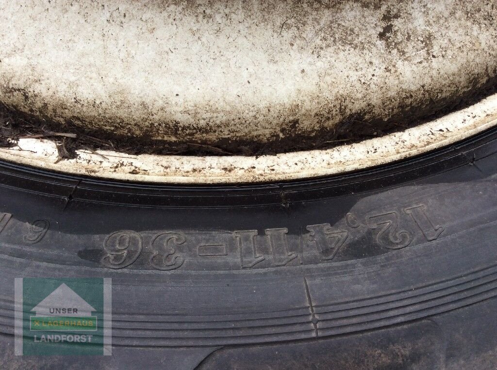 Rad a típus Trinker 12.4/11-36, Gebrauchtmaschine ekkor: Kobenz bei Knittelfeld (Kép 5)