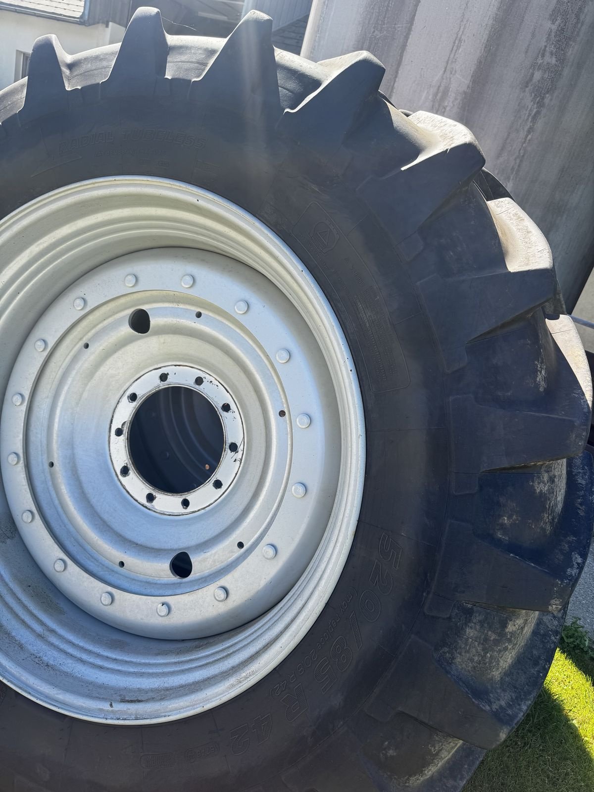 Rad Türe ait Trinker Steyr / Case LWB, Gebrauchtmaschine içinde Traberg (resim 2)