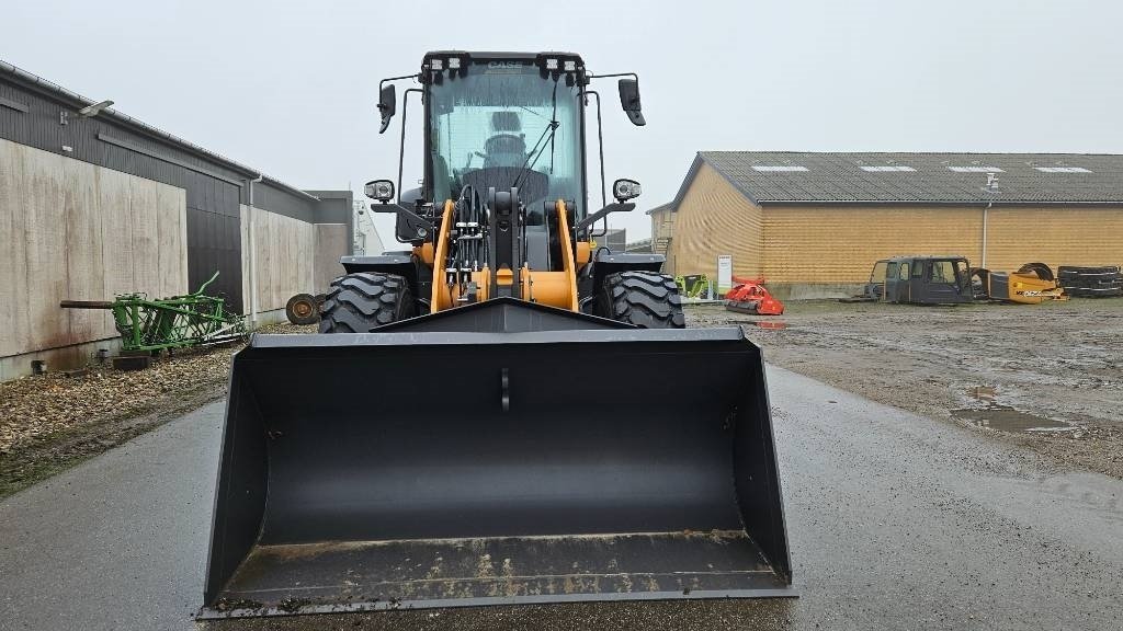 Radlader of the type Case IH 521, Gebrauchtmaschine in Ringe (Picture 3)