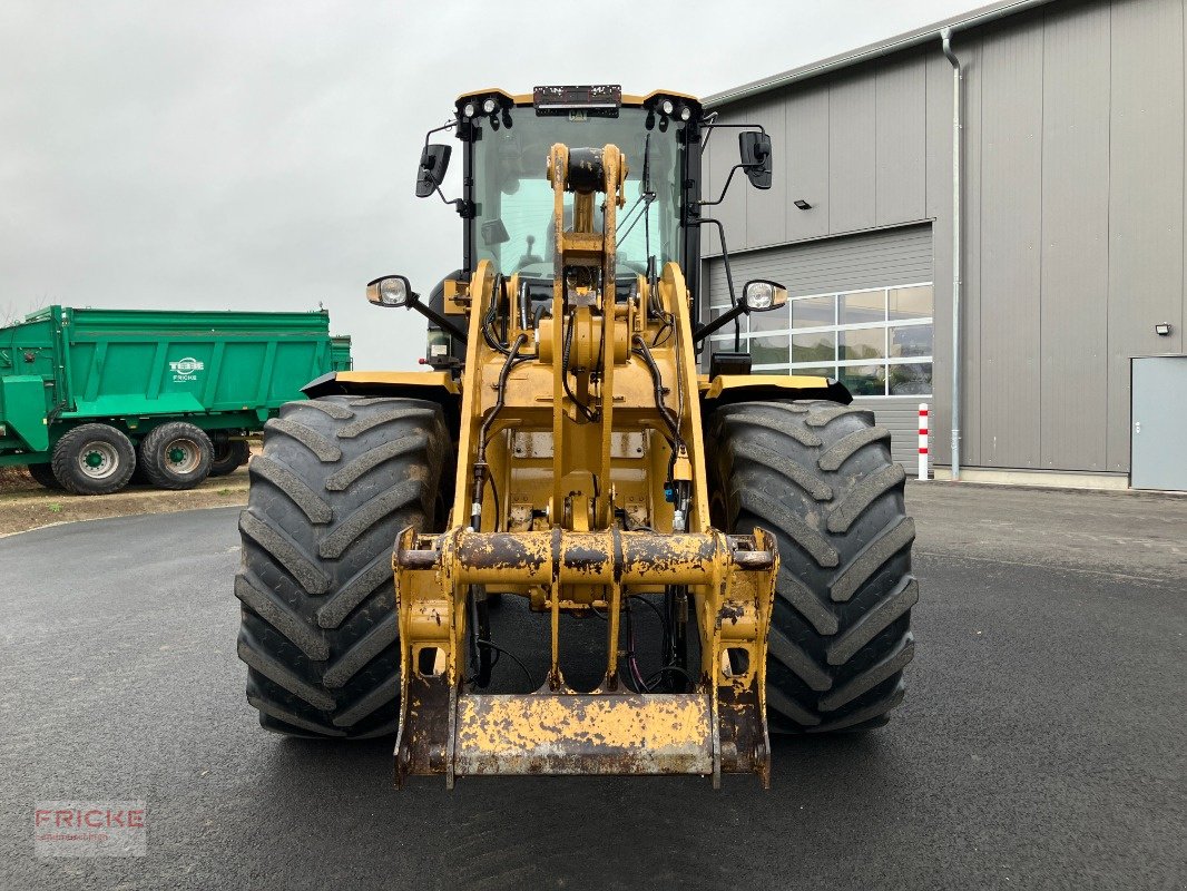 Radlader типа Caterpillar 938 M, Gebrauchtmaschine в Demmin (Фотография 2)