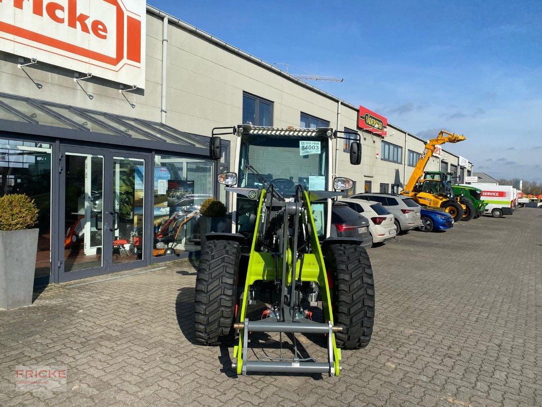 Radlader typu CLAAS Torion 530, Gebrauchtmaschine v Demmin (Obrázek 5)