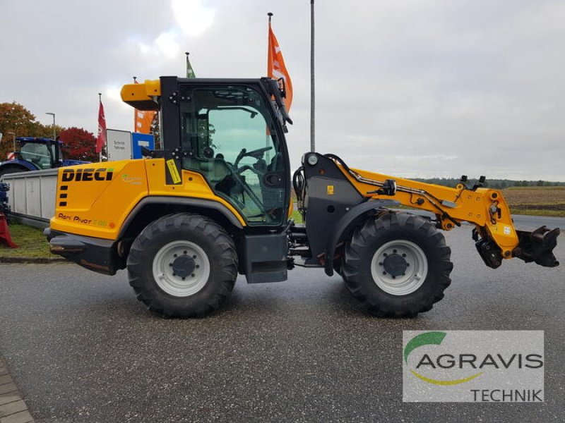 Radlader of the type DIECI AGRI PIVOT T60, Gebrauchtmaschine in Nartum (Picture 13)