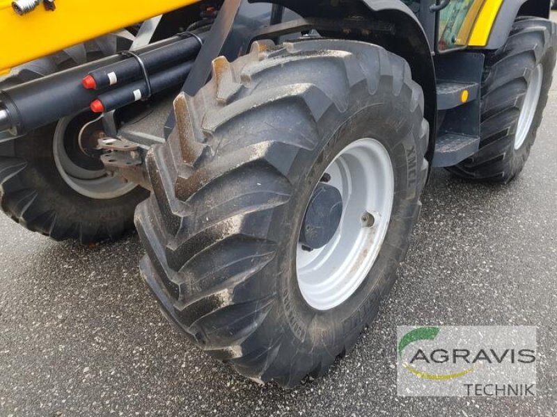 Radlader of the type DIECI AGRI PIVOT T60, Gebrauchtmaschine in Nartum (Picture 2)