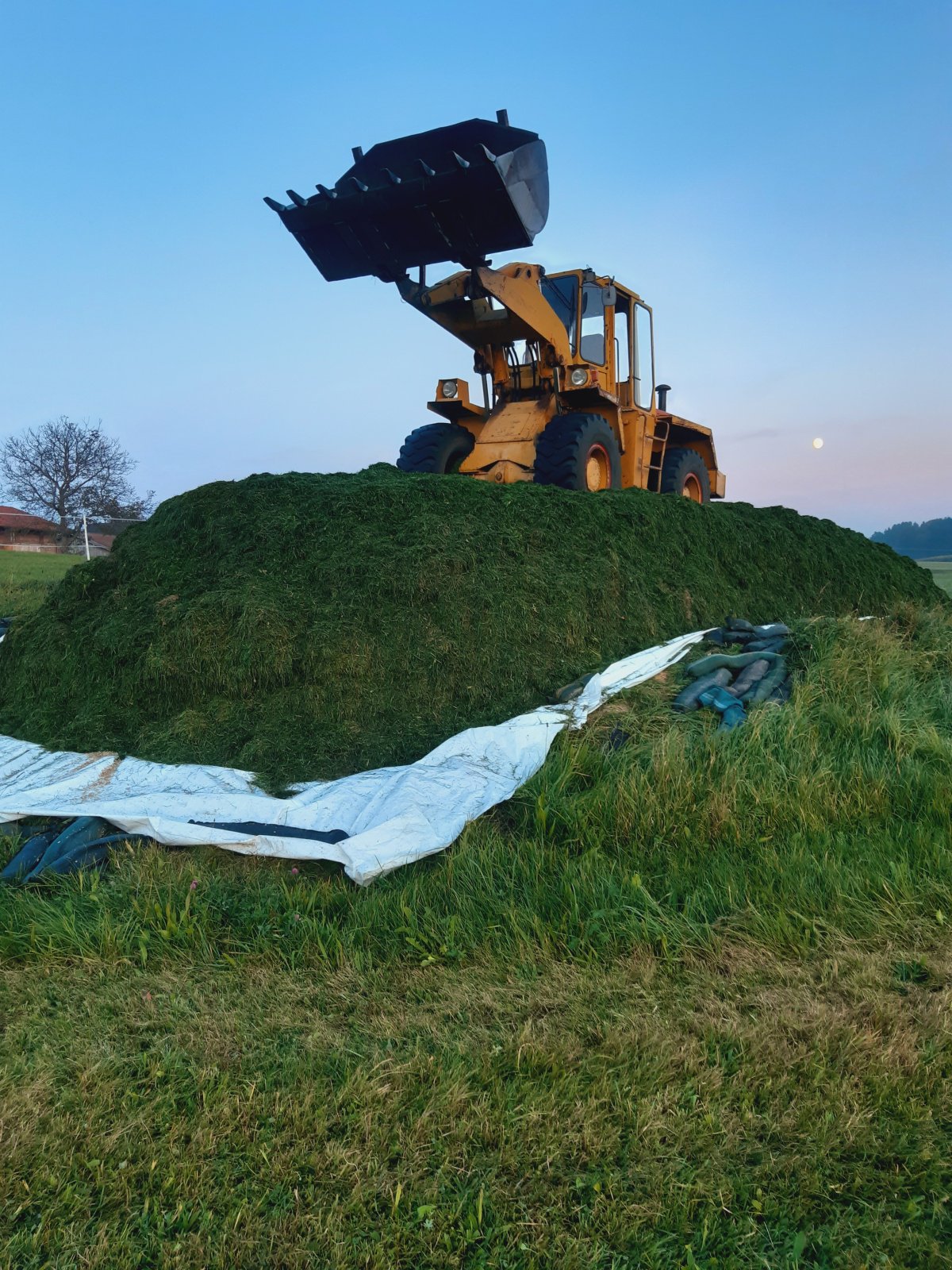 Radlader tipa Faun 1300, Gebrauchtmaschine u Bayern - Taching (Slika 1)