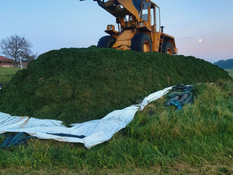 Radlader του τύπου Faun 1300, Gebrauchtmaschine σε Bayern - Taching (Φωτογραφία 1)