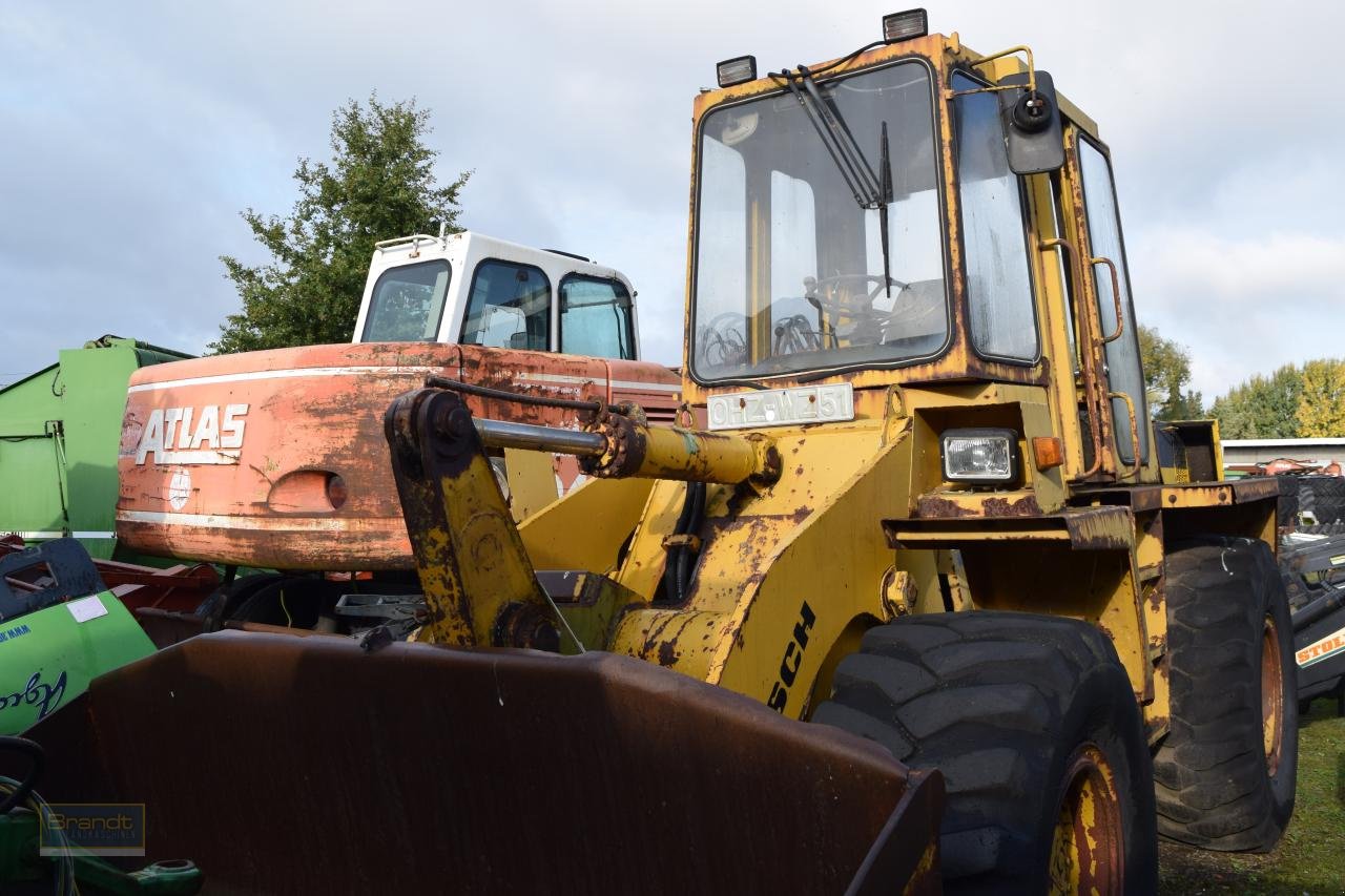 Radlader des Typs Faun F 1100 C-B, Gebrauchtmaschine in Oyten (Bild 1)