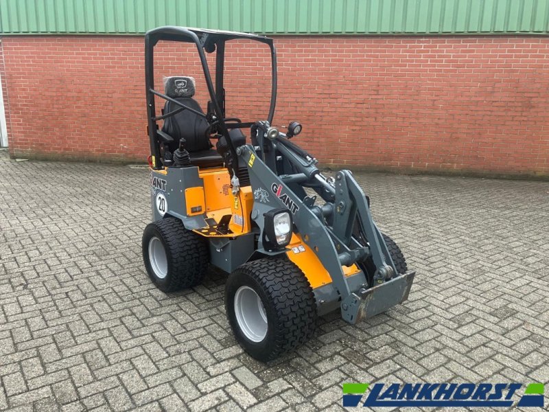 Radlader Türe ait GiANT G 1200, Gebrauchtmaschine içinde Neuenhaus