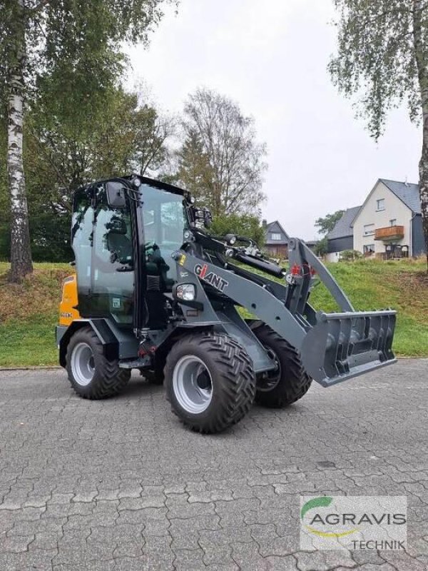 Radlader of the type GiANT G2300 HD, Neumaschine in Salzkotten (Picture 2)