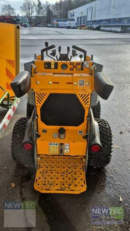 Radlader от тип GiANT SK 252 D, Gebrauchtmaschine в Treuenbrietzen (Снимка 2)