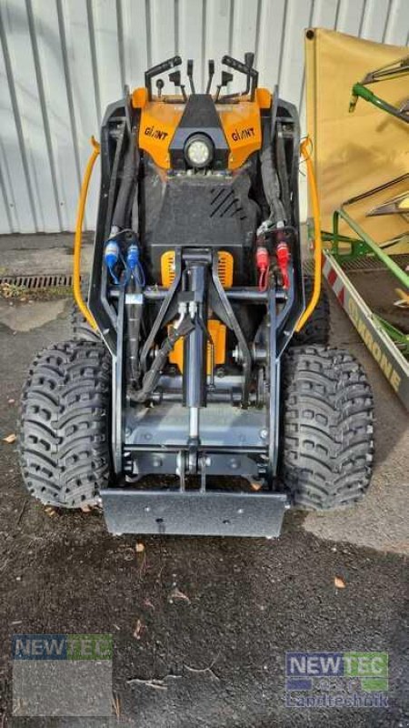 Radlader от тип GiANT SK 252 D, Gebrauchtmaschine в Treuenbrietzen (Снимка 4)