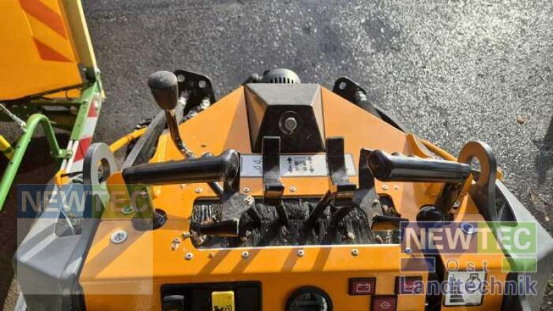 Radlader от тип GiANT SK 252 D, Gebrauchtmaschine в Treuenbrietzen (Снимка 3)