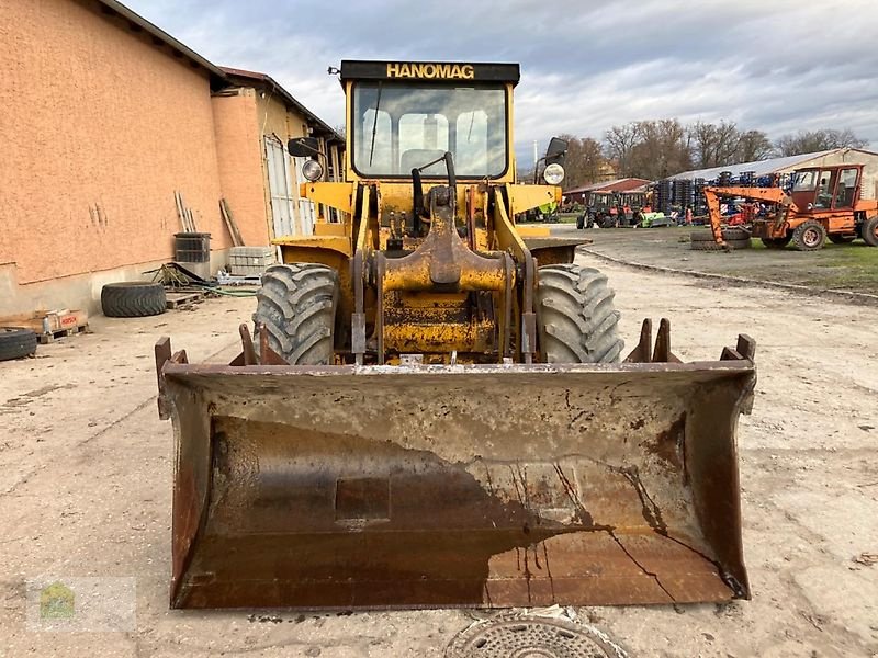 Radlader of the type Hanomag 44D, Gebrauchtmaschine in Salsitz (Picture 25)