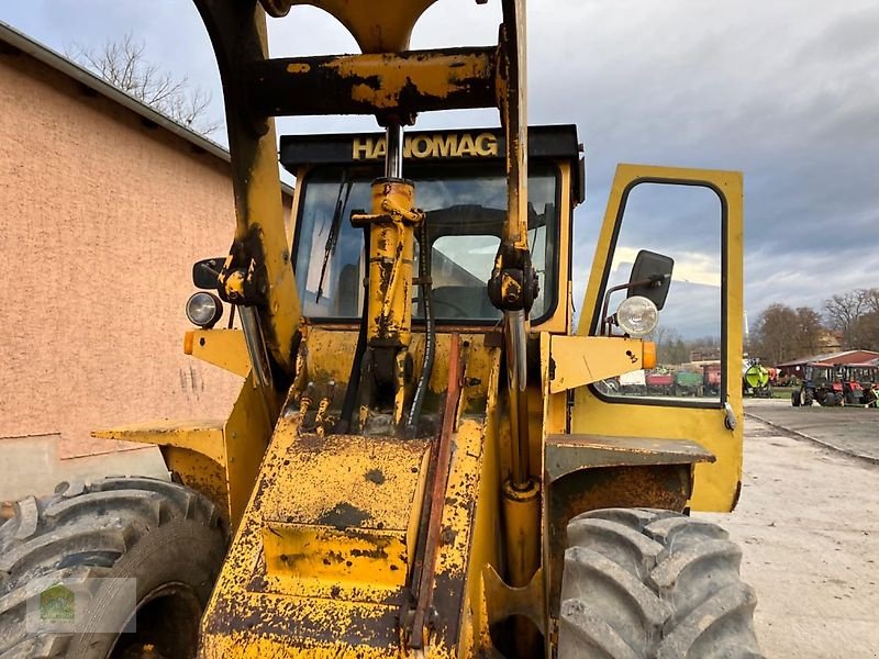 Radlader of the type Hanomag 44D, Gebrauchtmaschine in Salsitz (Picture 30)
