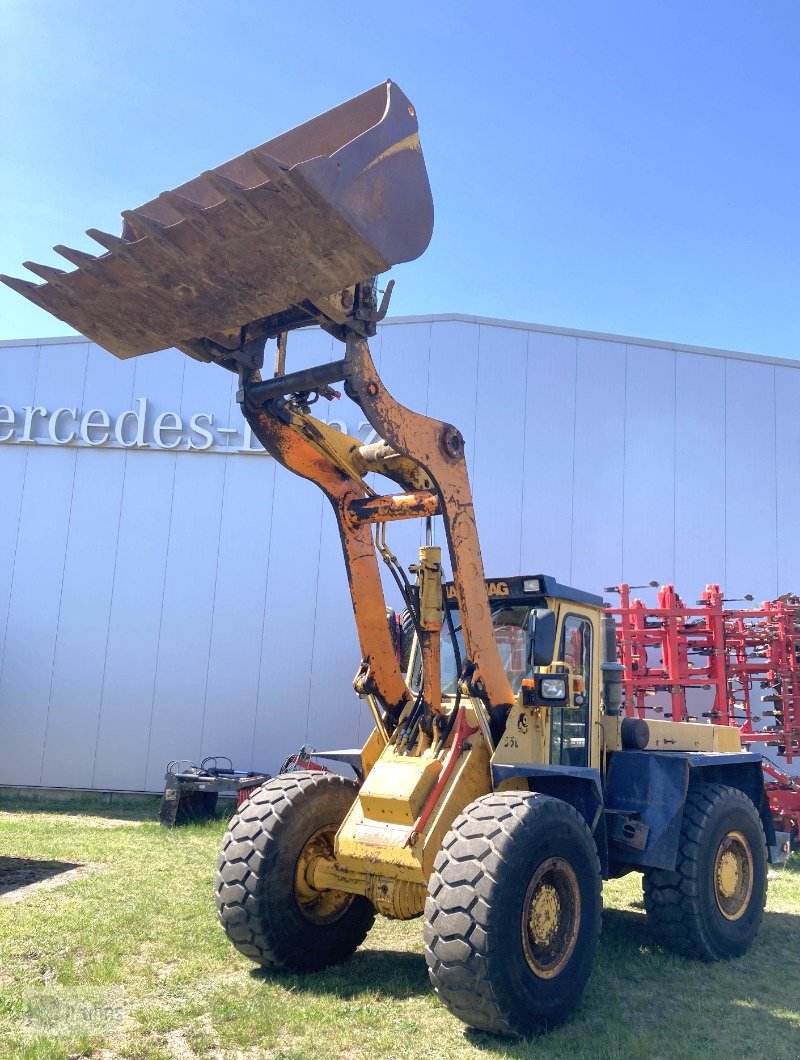 Radlader typu Hanomag Hanomag 55 D - Überladehöhe über 4 m, Gebrauchtmaschine v Karstädt (Obrázek 1)