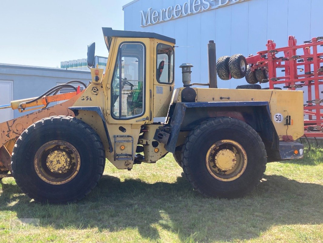 Radlader typu Hanomag Hanomag 55 D - Überladehöhe über 4 m, Gebrauchtmaschine v Karstädt (Obrázek 4)