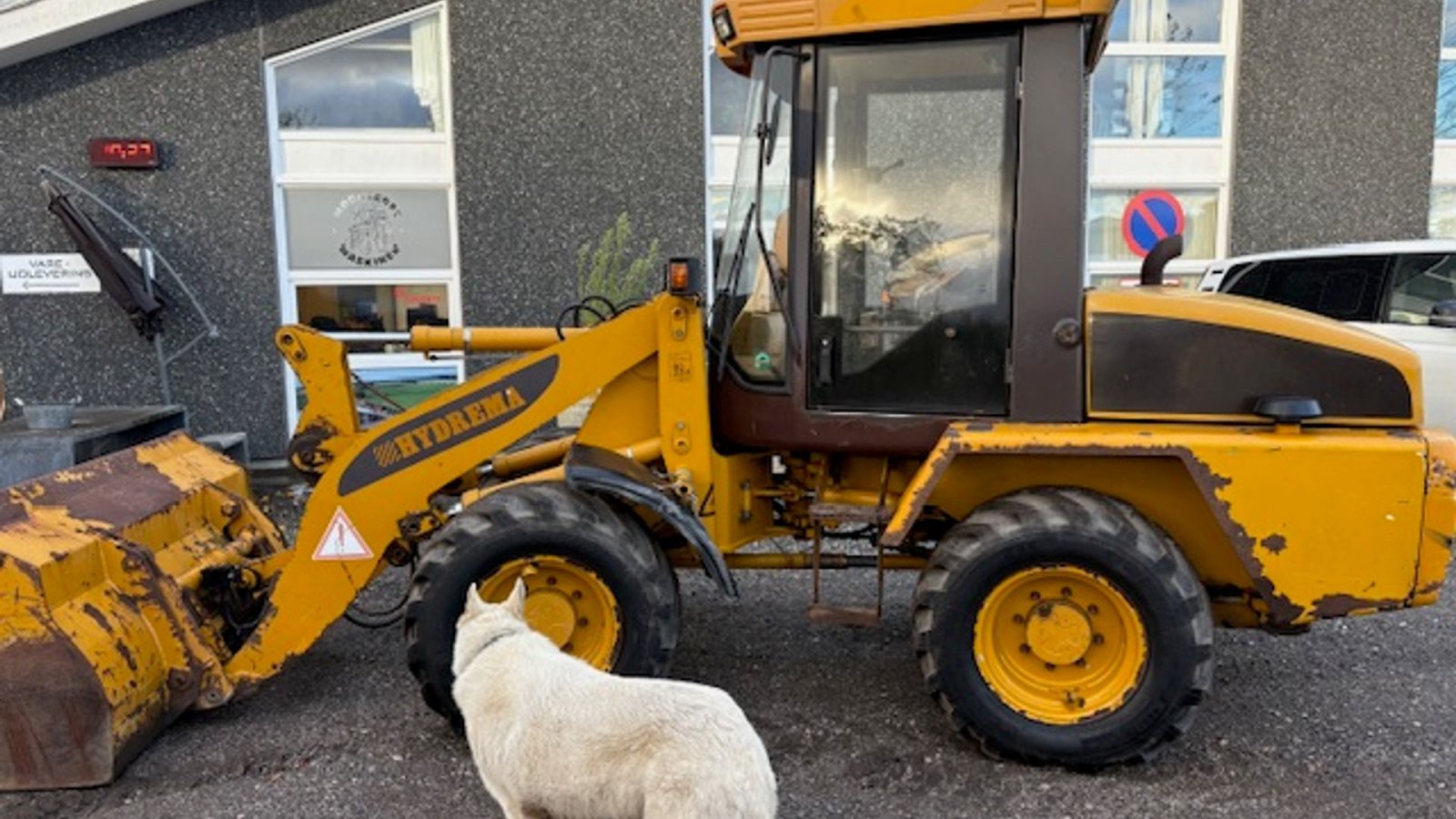 Radlader του τύπου Hydrema Wl 550C HYDRAULISK SKIFT, SKOVL OG GAFLER, Gebrauchtmaschine σε Dronninglund (Φωτογραφία 2)